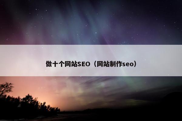 做十个网站SEO（网站制作seo）