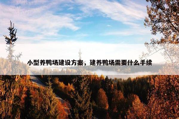 小型养鸭场建设方案，建养鸭场需要什么手续