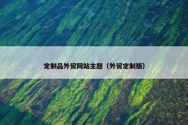 定制品外贸网站主题（外贸定制版）