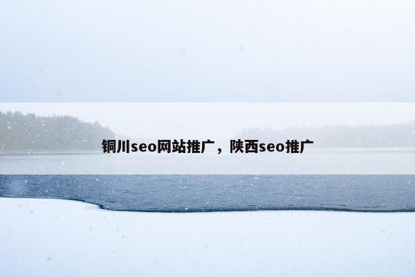 铜川seo网站推广，陕西seo推广