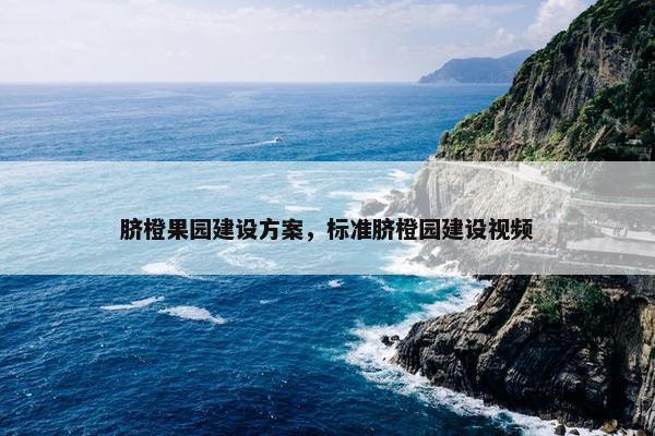 脐橙果园建设方案，标准脐橙园建设视频