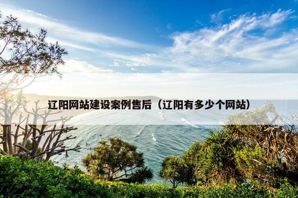辽阳网站建设案例售后（辽阳有多少个网站）