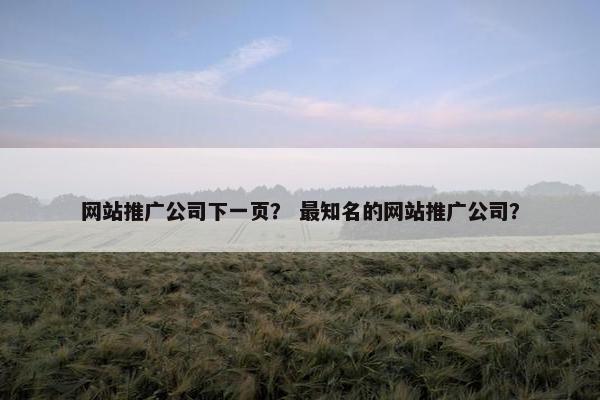 网站推广公司下一页？ 最知名的网站推广公司？
