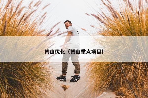 博山优化（博山重点项目）