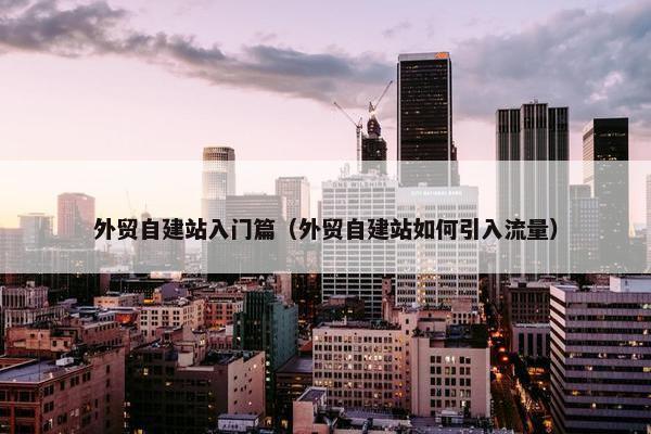 外贸自建站入门篇（外贸自建站如何引入流量）