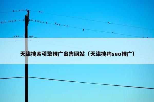 天津搜索引擎推广出售网站（天津搜狗seo推广）