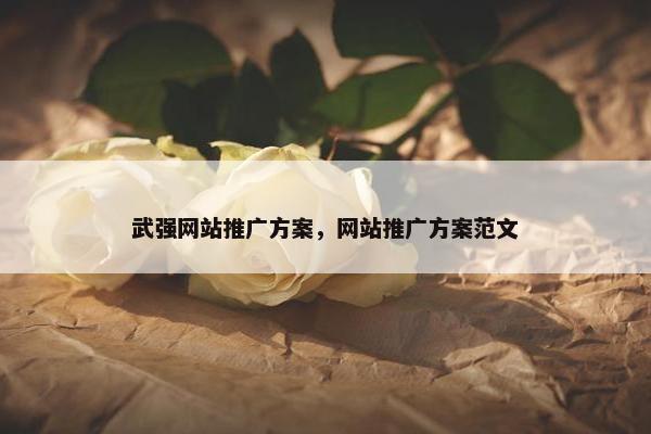 武强网站推广方案，网站推广方案范文
