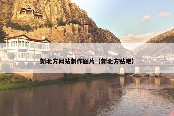 新北方网站制作图片（新北方贴吧）