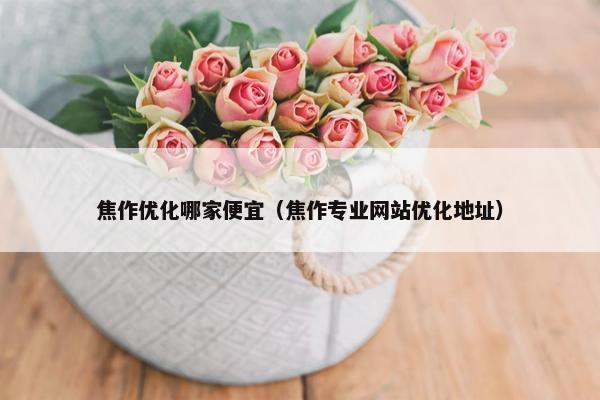 焦作优化哪家便宜（焦作专业网站优化地址）