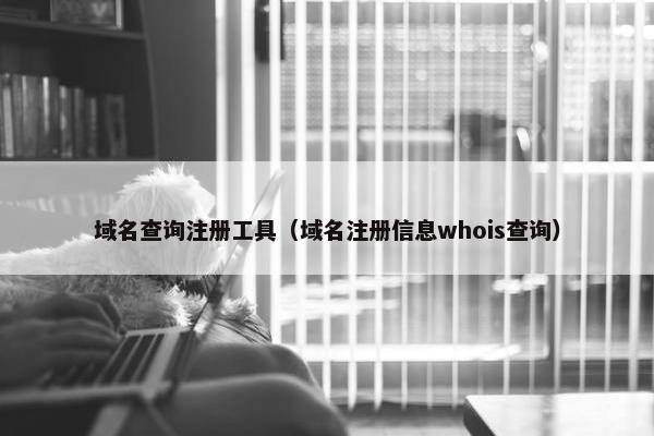 域名查询注册工具（域名注册信息whois查询）