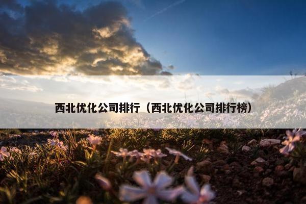 西北优化公司排行（西北优化公司排行榜）