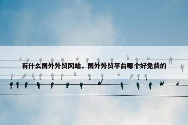 有什么国外外贸网站，国外外贸平台哪个好免费的