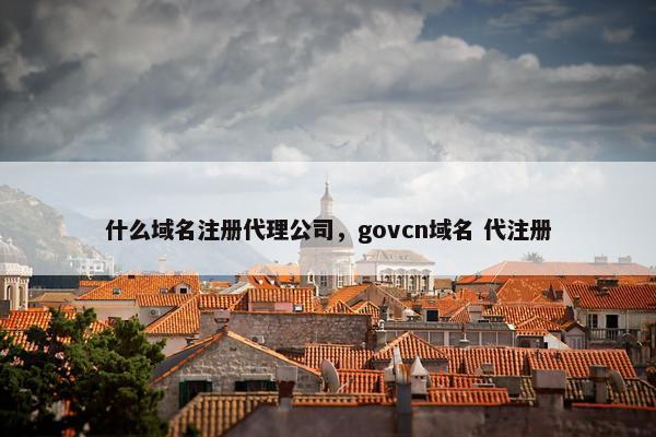 什么域名注册代理公司，govcn域名 代注册