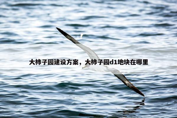 大柿子园建设方案，大柿子园d1地块在哪里