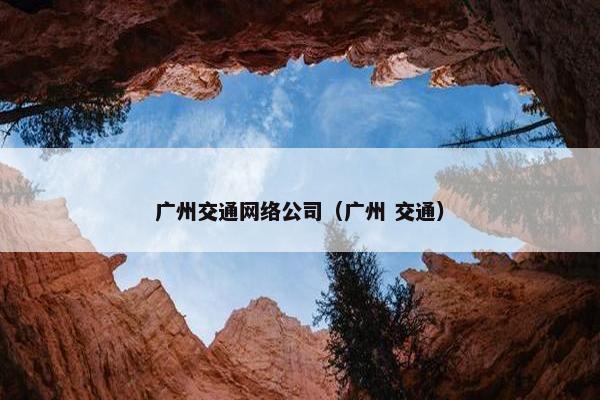 广州交通网络公司（广州 交通）