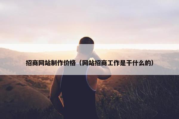 招商网站制作价格（网站招商工作是干什么的）