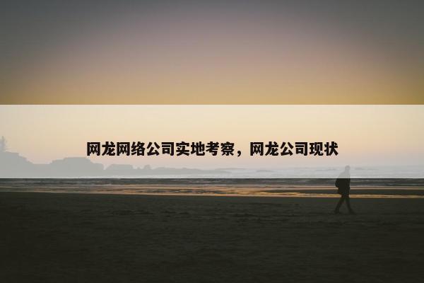网龙网络公司实地考察，网龙公司现状
