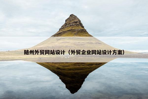 随州外贸网站设计（外贸企业网站设计方案）