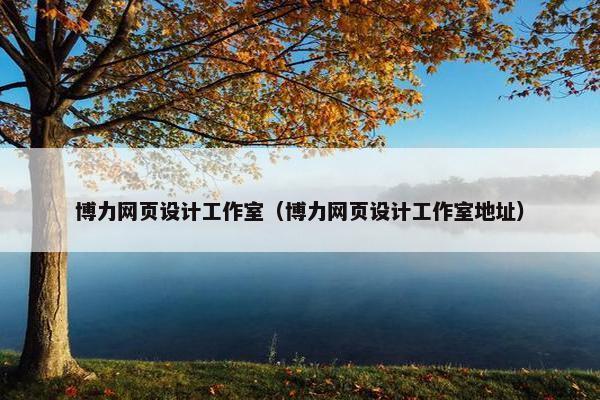 博力网页设计工作室（博力网页设计工作室地址）