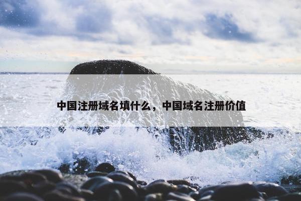 中国注册域名填什么，中国域名注册价值