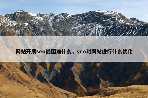 网站开展seo最困难什么，seo对网站进行什么优化