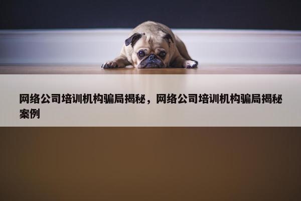 网络公司培训机构骗局揭秘，网络公司培训机构骗局揭秘案例