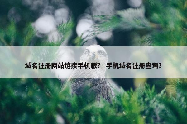 域名注册网站链接手机版？ 手机域名注册查询？