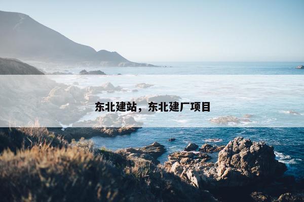 东北建站，东北建厂项目