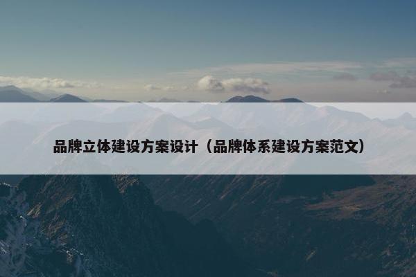 品牌立体建设方案设计（品牌体系建设方案范文）