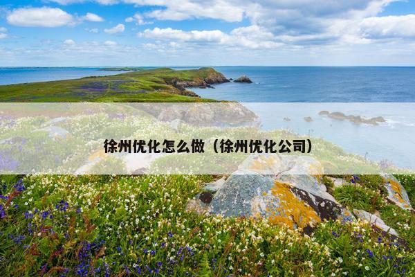 徐州优化怎么做（徐州优化公司）