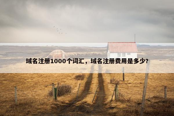域名注册1000个词汇，域名注册费用是多少?