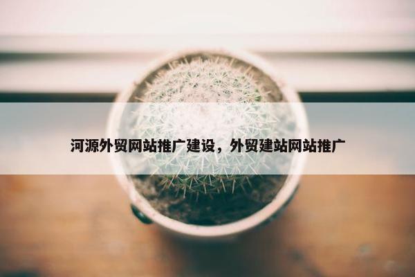 河源外贸网站推广建设，外贸建站网站推广