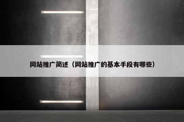 网站推广简述（网站推广的基本手段有哪些）