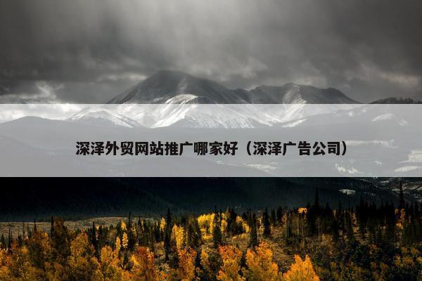 深泽外贸网站推广哪家好（深泽广告公司）