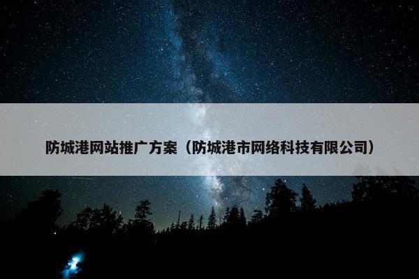 防城港网站推广方案（防城港市网络科技有限公司）
