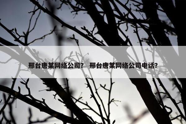 邢台唐某网络公司？ 邢台唐某网络公司电话？