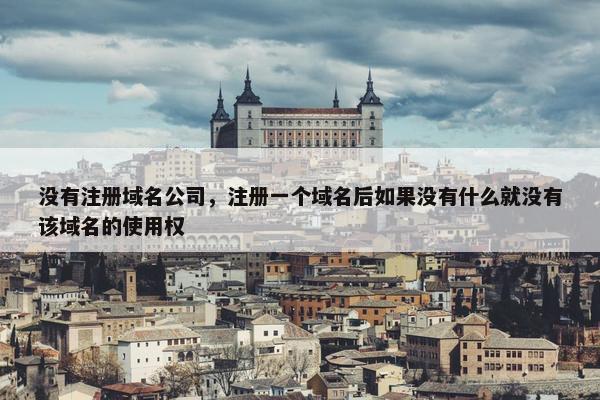 没有注册域名公司，注册一个域名后如果没有什么就没有该域名的使用权