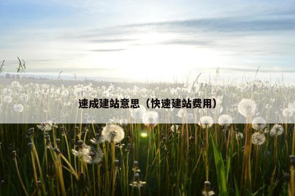 速成建站意思（快速建站费用）
