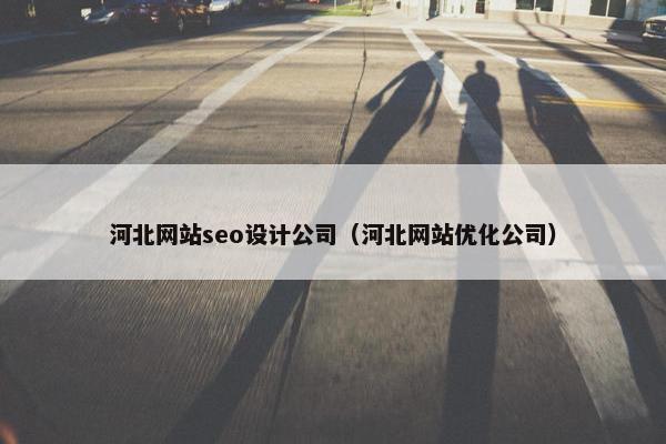 河北网站seo设计公司（河北网站优化公司）