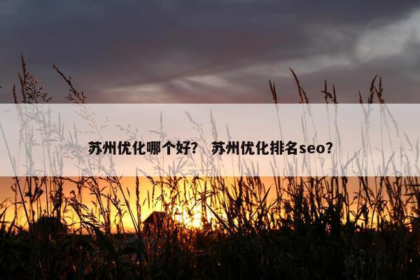 苏州优化哪个好？ 苏州优化排名seo？