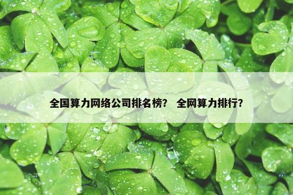 全国算力网络公司排名榜？ 全网算力排行？