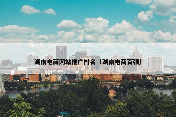 湖南电商网站推广排名（湖南电商百强）