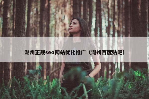 湖州正规seo网站优化推广（湖州百度贴吧）