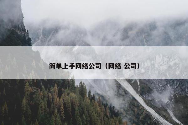 简单上手网络公司（网络 公司）