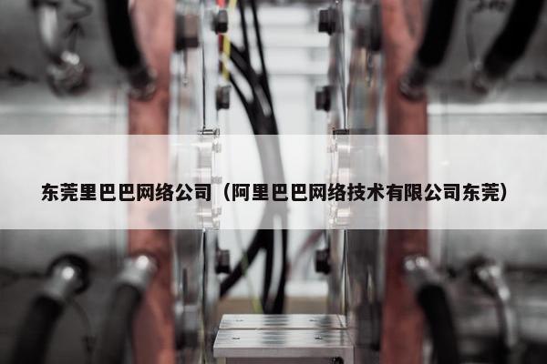 东莞里巴巴网络公司（阿里巴巴网络技术有限公司东莞）