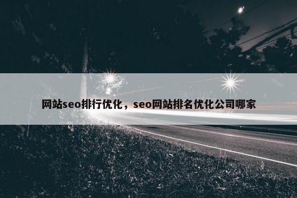 网站seo排行优化，seo网站排名优化公司哪家