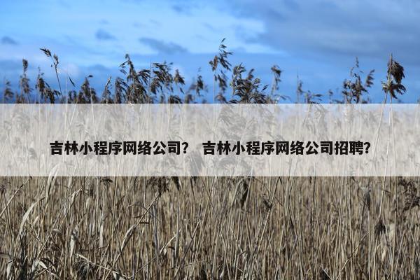 吉林小程序网络公司？ 吉林小程序网络公司招聘？