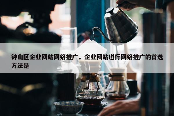 钟山区企业网站网络推广，企业网站进行网络推广的首选方法是