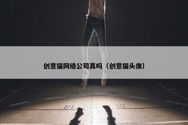 创意猫网络公司真吗（创意猫头像）