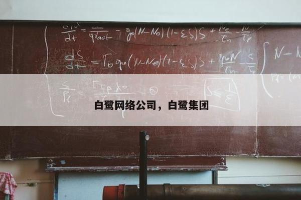 白鹭网络公司，白鹭集团
